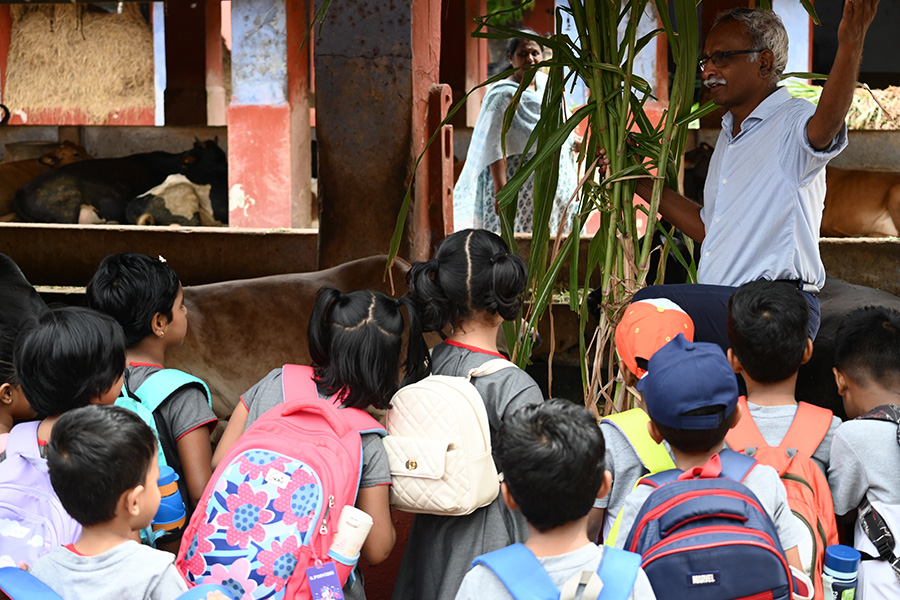 Observation of Animal Life