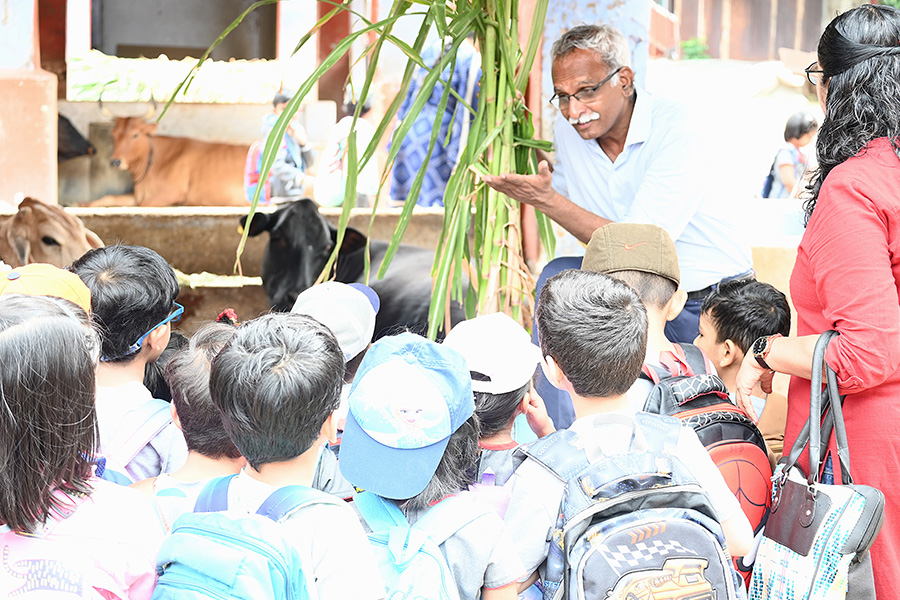 Observation of Animal Life