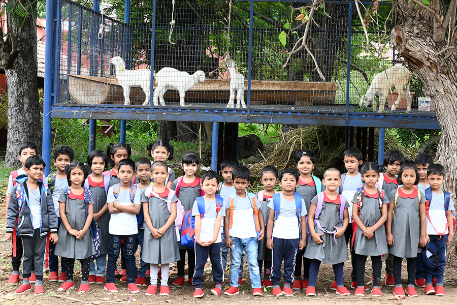 Observation of Animal Life